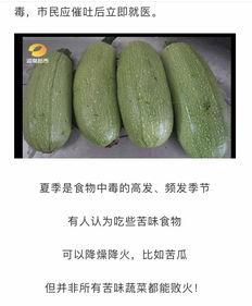 嘉哥吃瓜得瓜,瓜果飘香，收获满满