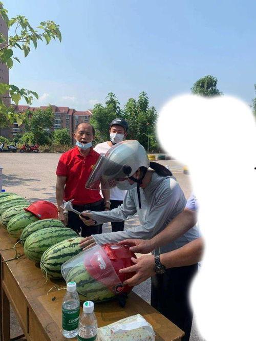 东营吃瓜事件官方,揭秘背后真相与网络舆论风暴