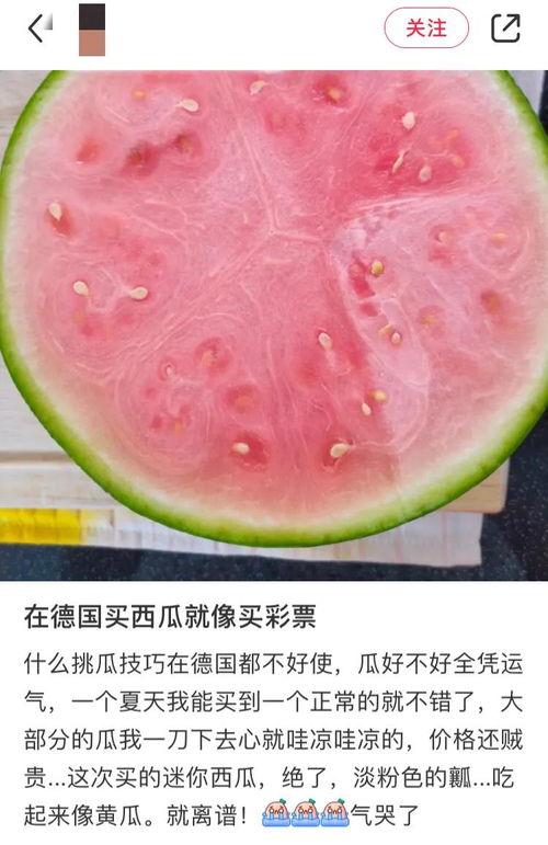吃瓜自由了,揭秘网络舆论场的新风向