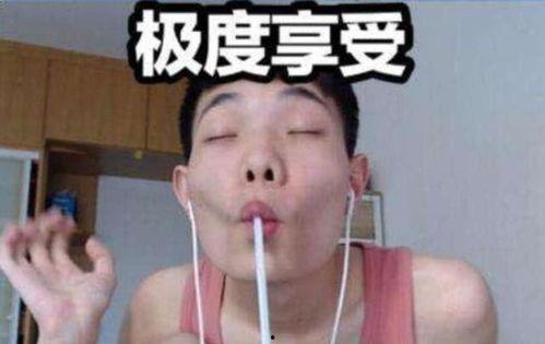 鲨鱼吃瓜吃鸡是真的吗,鲨鱼吃瓜吃鸡，真相大揭秘！