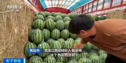 万泰汇喷泉吃瓜,吃瓜群众的欢乐聚集地
