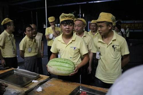 吃瓜行动组,网络舆论背后的真相追踪