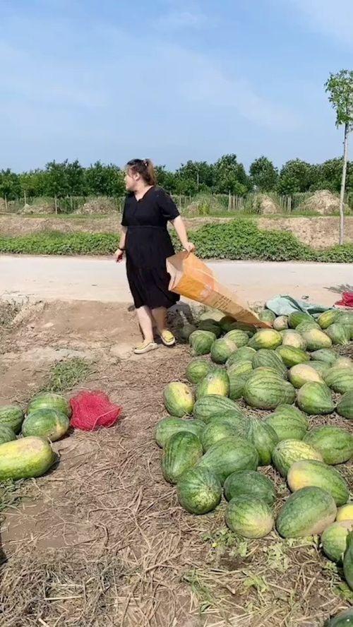 农村吃瓜网,揭秘农村生活百态，带你领略乡村风情