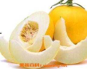 伊丽莎白瓜咋吃,伊丽莎白瓜的多样食用方法与美味体验
