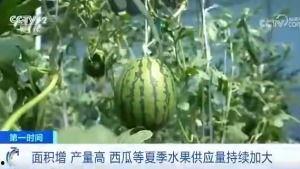 威海吃瓜群众案件,网络舆论下的法律边界与责任