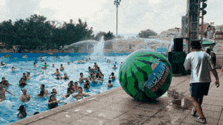 冲浪吃瓜啦,揭秘冲浪圈的那些事儿