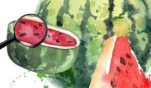 微信吃瓜2020,盘点那些年我们一起“吃瓜”的日子