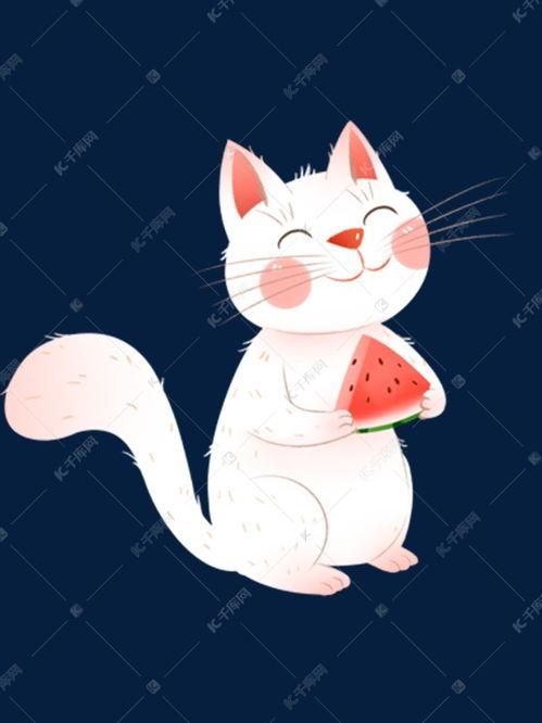 吃瓜猫咪素材视频