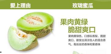 玫玫带你吃瓜,畅游美食瓜界